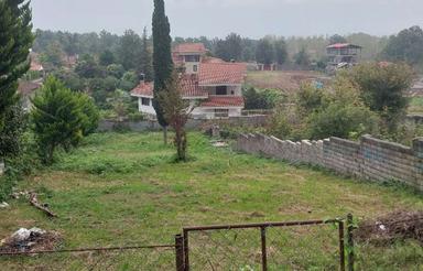 فروش زمین مسکونی 889 متر با ویو جنگل