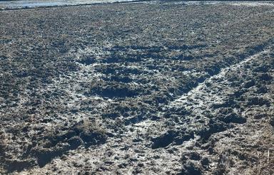 زمین کشاورزی سنتی 1,222 متری نزدیک آسفالت درکلکاسرا رودسر