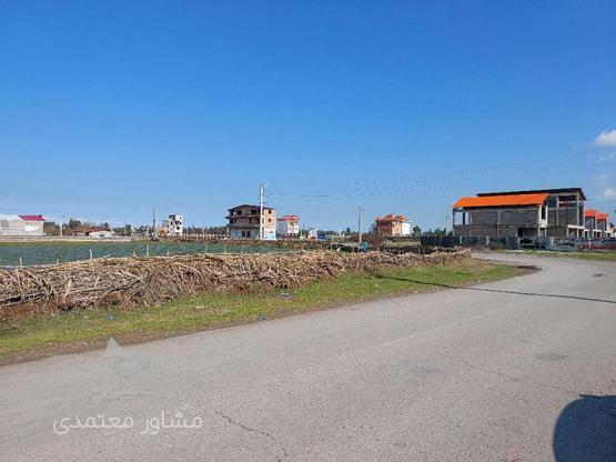 فروش زمین مسکونی 3500 متر در چپکرود جویبار در گروه خرید و فروش املاک در مازندران در شیپور-عکس1