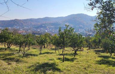 فروش زمین کشاورزی 700 متر در مرکز شهر