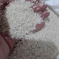 برنج نیمدانه و خاکه هاشمی خوشپخت کاشت خودم