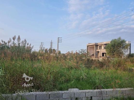 زمین سرخرود 251متری بافت مسکونی در گروه خرید و فروش املاک در مازندران در شیپور-عکس1