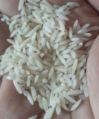فروش فوق العاده برنج کشت اول