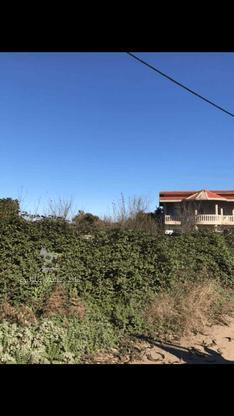 فروش زمین مسکونی 250 متر در بابلکنار در گروه خرید و فروش املاک در مازندران در شیپور-عکس1
