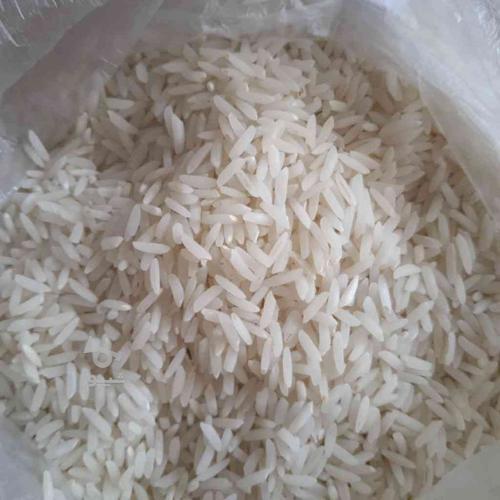 فروش بی واسطه برنج هاشمی امساله