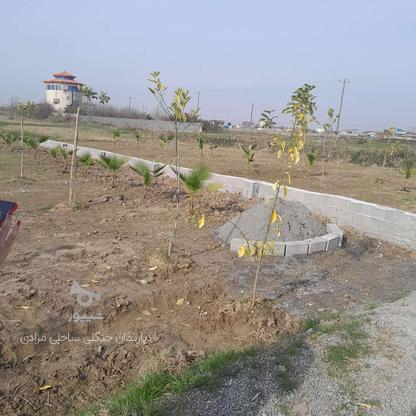 زمین مناسب ساخت ویلا باویوجنگلی170 متر در گروه خرید و فروش املاک در مازندران در شیپور-عکس1