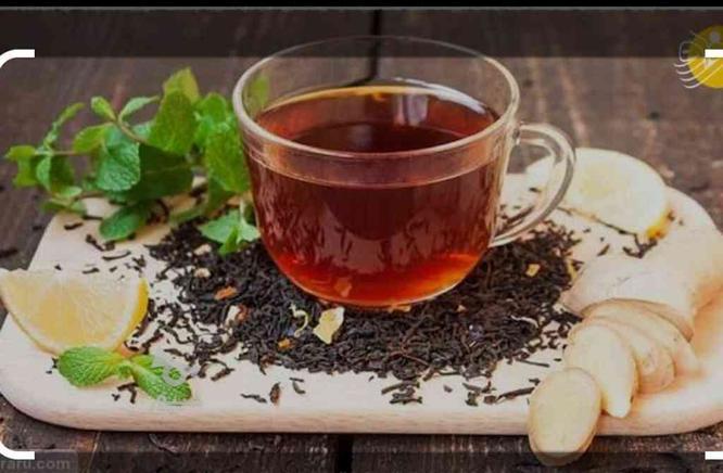 چای شمال لاهیجان