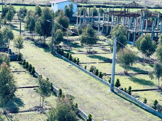  زمین مسکونی 200 متر سند شش دانگ در چپکرود در گروه خرید و فروش املاک در مازندران در شیپور-عکس1