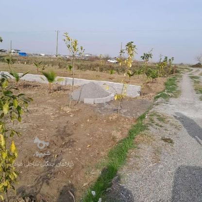فروش زمین 130 متر در دشت سر در گروه خرید و فروش املاک در مازندران در شیپور-عکس1