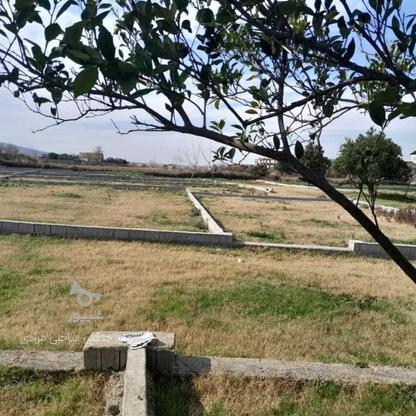 زمین عالی. 200 متر در گروه خرید و فروش املاک در مازندران در شیپور-عکس1