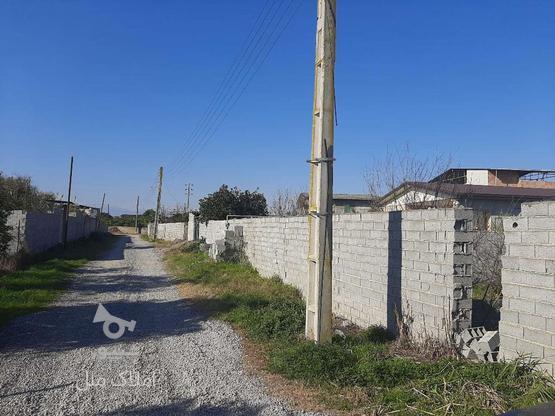 فروش زمین مسکونی 250 متر در قراخیل در گروه خرید و فروش املاک در مازندران در شیپور-عکس1