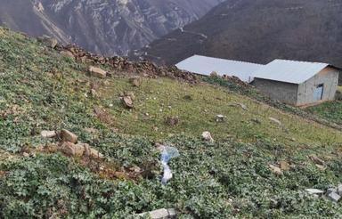 فروش زمین مسکونی 200 متر در ممشی