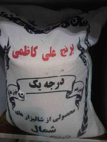 برنج علی کاظمی به شرط پخت به قیمت عمده