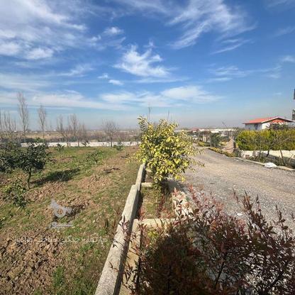 پلاک 397 متر،400‌متری، 500 متری با شرایط اقساط باقی مانده در گروه خرید و فروش املاک در مازندران در شیپور-عکس1
