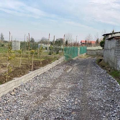 فروش زمین 100 متری اقساط بلندمدت در گروه خرید و فروش املاک در مازندران در شیپور-عکس1