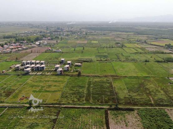 فروش زمین کشاورزی 30000 متری بامدارک کامل مالکیت در گروه خرید و فروش املاک در گیلان در شیپور-عکس1