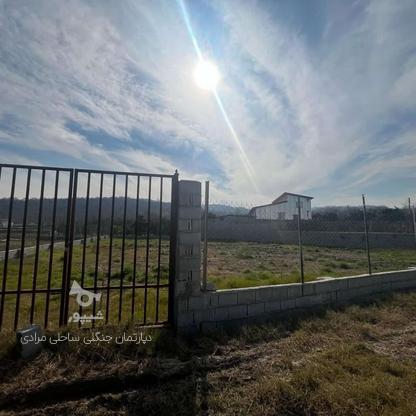 فروش زمین مسکونی 150 متر شرایط اقساطی و تهاتر در گروه خرید و فروش املاک در مازندران در شیپور-عکس1