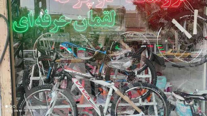 فروش انواع دوچرخه از اماتور الی حرفه ای