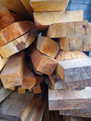 فروش چوب جنگلی