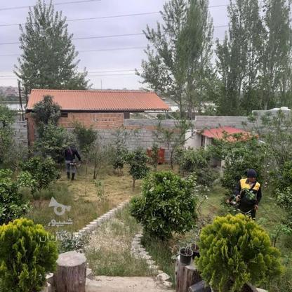 فروش زمین کشاورزی 400 متر در دنج کلا در گروه خرید و فروش املاک در مازندران در شیپور-عکس1