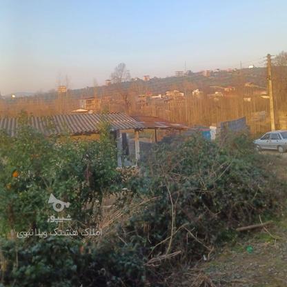 فروش زمین مسکونی 150 متر ویو دار در بابلکنار در گروه خرید و فروش املاک در مازندران در شیپور-عکس1