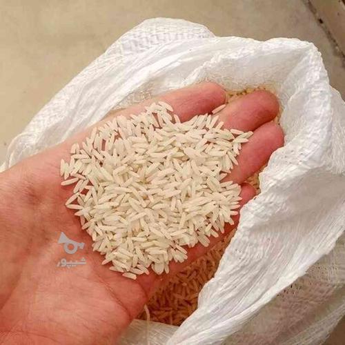 فروش برنج درجه یک هاشمی
