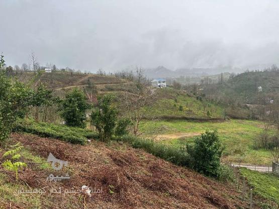 فروش زمین مسکونی 250 متر در روستای زمیدان در گروه خرید و فروش املاک در گیلان در شیپور-عکس1