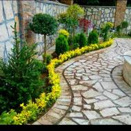 خدمات باغبانی و گل کاری تعویض خاک سمپاشی چمن باغچه وگلدان