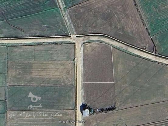 فروش زمین کشاورزی 1500 متر در اسرم در گروه خرید و فروش املاک در مازندران در شیپور-عکس1