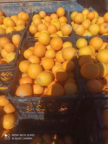 200پرتقال عمده والنسیا در جیرفت و عنبرآباد