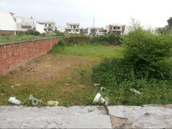 فروش زمین مسکونی 230 متری در امیرآباد ( ایزدشهر ) در گروه خرید و فروش املاک در مازندران در شیپور-عکس1