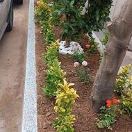 خدمات باغبانی درختکاری تمام نقاط تهران