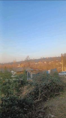 فروش زمین مسکونی 300 متر در بابلکنار در گروه خرید و فروش املاک در مازندران در شیپور-عکس1