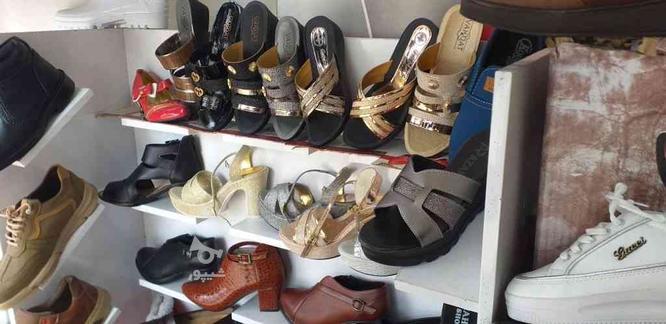فروش انواع کفش زنانه ،مردانه و بچه گانه