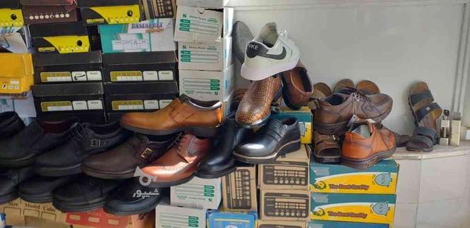 فروش انواع کفش زنانه ،مردانه و بچه گانه
