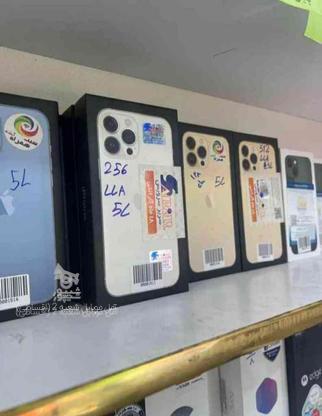 آیفون 13 پرومکث اپل آکبند اقساطی با چک در گروه خرید و فروش موبایل، تبلت و لوازم در مازندران در شیپور-عکس1