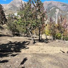 فروش زمین مسکونی 200 متر در نمارستاق