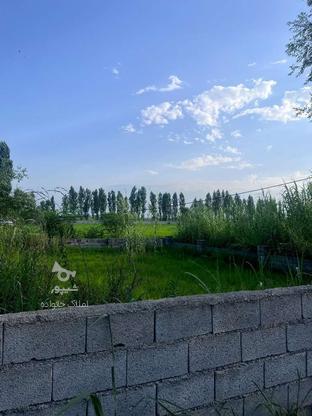 200 متر زمین با سند تک برگ پشت اکسین بیشه کلا در گروه خرید و فروش املاک در مازندران در شیپور-عکس1