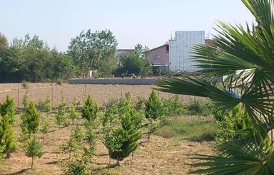 زمین الحاق به بافت اوایل ج اوجی آباد 110متر