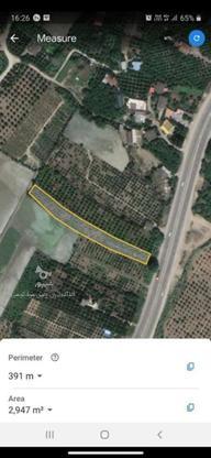 فروش زمین 3000 متر براصلی در جاده کیاکلا سنگتاب در گروه خرید و فروش املاک در مازندران در شیپور-عکس1