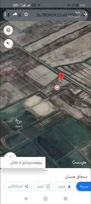 زمین کشاورزی 30000 متر در گروه خرید و فروش املاک در مازندران در شیپور-عکس1