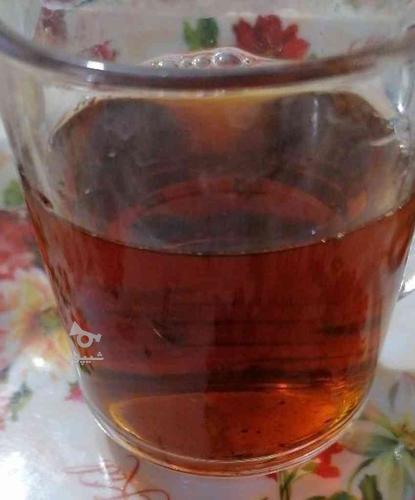 چای کله مورچه