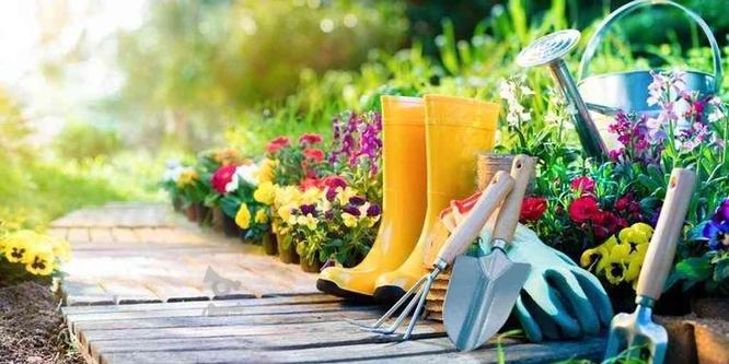 باغبانی نوین با کیفیت بالا و تجهیزات