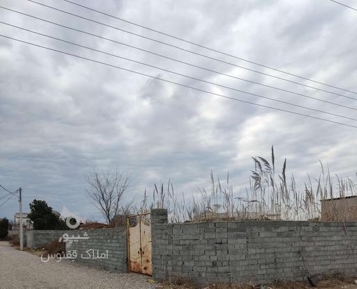 زمین مسکونی 400 متر در بولیده در گروه خرید و فروش املاک در مازندران در شیپور-عکس1