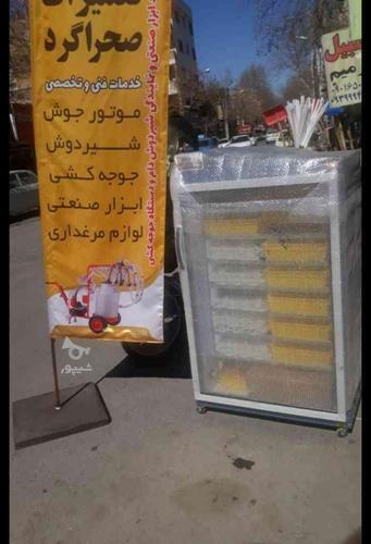 نمایندگی دستگاه جوجه کشی در لرستان،قیمت کارخانه