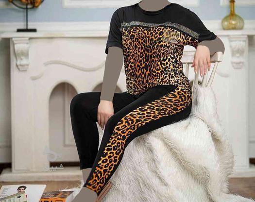 خرید تک و عمده لباس خانگی و ورزشی شیک زنانه از تولیدی در گروه خرید و فروش خدمات و کسب و کار در تهران در شیپور-عکس1