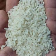 برنج کامفیروزی و خورده برنج