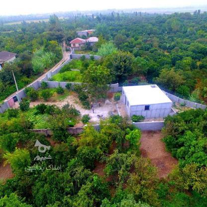 فروش زمین مسکونی 900 متر در گنج افروز در گروه خرید و فروش املاک در مازندران در شیپور-عکس1