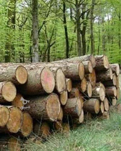 خرید انواع چوب به قیمت کارخانه