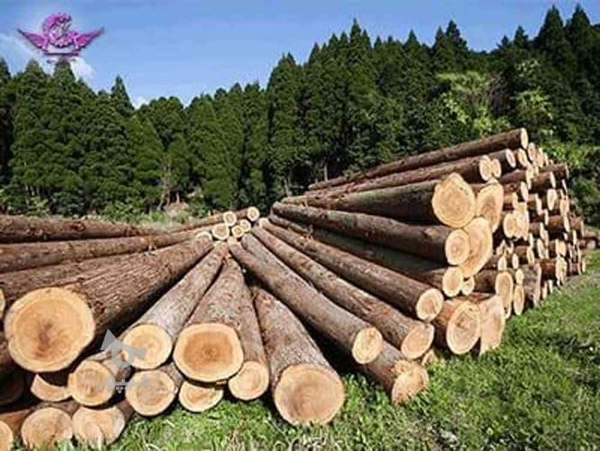 خرید انواع چوب به قیمت کارخانه
